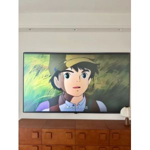 Fixed Frame Fresnel UST ALR Projector Screen