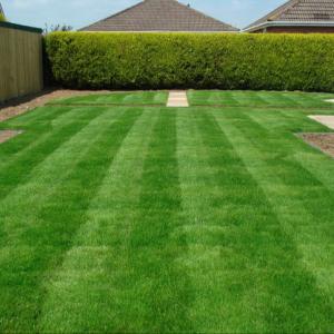 China 35mm Synthetic Artificial Grass , Anti UV Garden Turf Grass For Yard supplier