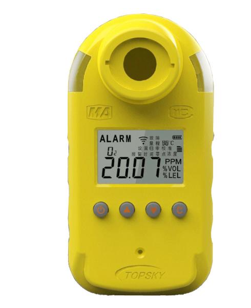 CO&H2S multigas detector CTL1000/100