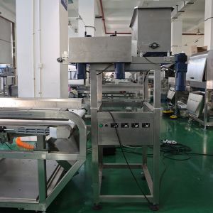 China Customized AI Sorting Machine For Precise Product Sorting To Improve Production Efficiency And Quality wholesale