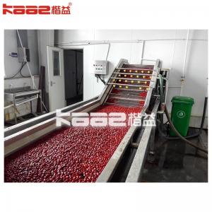China SUS304 Dates Processing Machine Jujube Juice Production Line For Jujube Syrup supplier