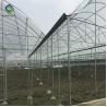 Sprinkler Irrigation 9m Agricultural Multi Span Greenhouse