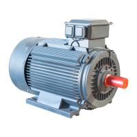 China IP55 3 Phase Variable Speed AC Motor Induction Iron Cast 100% Output Power on sale