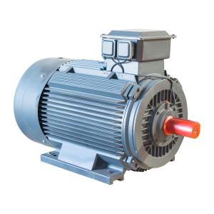 AC 2 Pole 3 Phase Induction Motor IP55 Electric Motor 15 Hp Low Voltage