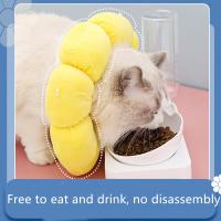 China Cat Elizabeth Ring Warm Anti Licking Pet Training Collars Yellow on sale