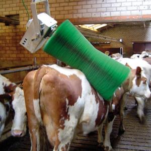 China Dairy Farm Equipments Automatic Cow Body Brush For Cow Massage With The Motor supplier