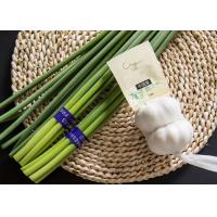 China 10kg Fresh Garlic Bolt Sprouts on sale
