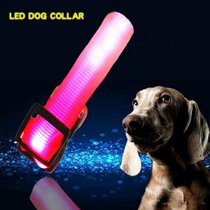 China C906 Hot sale Led Popular Blinking Best Flashing Dog Collar supplier
