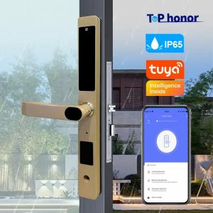 China Gold Bridge Cut Tuya App Door Lock Remote Control Fingerprint Code Card Key Lock supplier