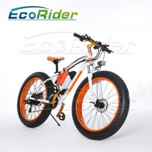 China 26 Inch Tires 2 Wheel Electric Bike Outdoor Off Road Dirt Electric Snowmobile Bikes High Speed supplier