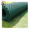 China HDPE Plastic Net Mesh for Chicken Breeding and Garden Use wholesale