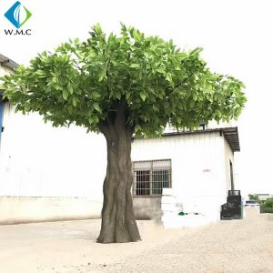 China Árbol de mango artificial grande, diseño modificado para requisitos particulares plantas artificiales de la palma on sale