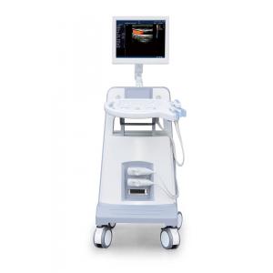 Entry Level Trolley Color Doppler Ultrasound Ultrasonic Diagnostic Instrument 500GB