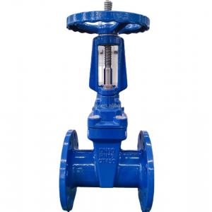 2-48 Inch Rising Stem Gate Valve Resilient Seated Rubber Seat Ductile Iron