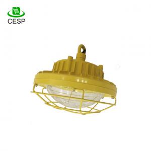 China explosion proof led lighting class 1 division 2 hazardous area light fittings supplier