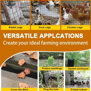 China Chicken Wire Fencing, 19Gauge, Vinyl PVC Coated Mesh, Welded Wire Mesh, Perfect For Gopher Wire, Rodent Mesh, Tree Guard, Chicken Coop wholesale