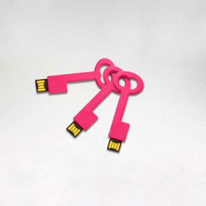 4GB 8GB 16GB Wholesale Plastic Fancy Key USB Flash Drives