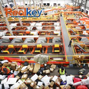 Advanced Warehouse Belt Conveyor For Postal OEM/ODM Available