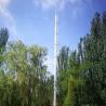 China Artificial Self Supporting 50m Monopole Steel Tower wholesale