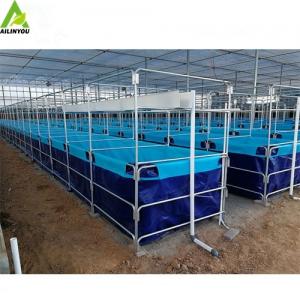 Hot Sale Shrimp  Farming Tank for Professional Complete Indoor Living Shrimp Tank Form