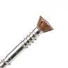 China Plain Finish Stainless Steel Countersunk Torx Head Double Thread Drywall Screw for Fixing wholesale