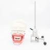Dental Anesthesia Extraction Model Dental School Anesthesia Injection Training Model Oral Anesthesia Simulator System