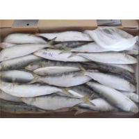China Sardinops Melanostictus Whole Round Fresh Frozen Fish For Canning on sale