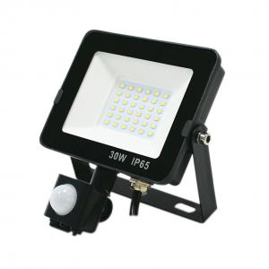 Super Bright Security PIR LED Flood Lights SMD Chips 30W AC220V 110V