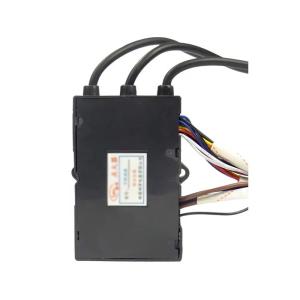 China High Power 220V Pulse Igniter for Forced Exhaust Water Heaters Thermostat Control wholesale
