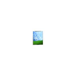 China 3.8 pulgadas LM038QBTS10 320 * 240 pantalla LCD con PDA wholesale