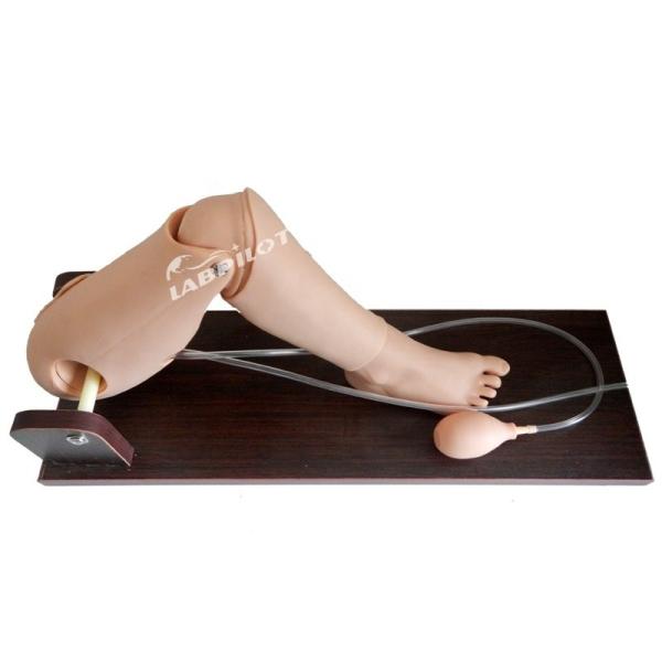 Convenient Child Bone Marrow Puncture and Femoral Venipuncture Simulator for Training