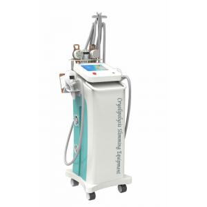 China Zeltiq 3D Freeze Fat Cryolipolysis Slimming Machine , Coolsculpting Weight Loss Machine supplier