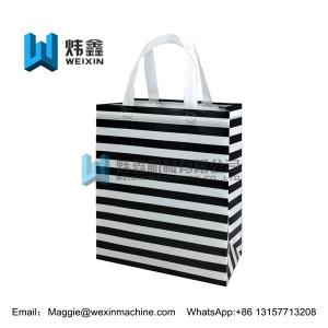 China Promotional Foldable Reusable Laminated Non Woven Bag 100gsm supplier