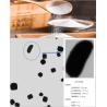 China Portable Dynamic Image Grain Size Analyzer with 10-2500 μm Measurement Range and 8-inch Color Screen wholesale