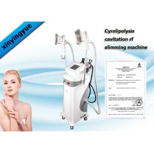 China Professional Cryolipolysis Fat Freeze Slimming Machine with Cooling System supplier