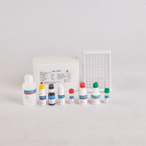 Human PTH Elisa Kit/Human Parathyroid Hormone Elisa Kit for RUO with 96 Tests