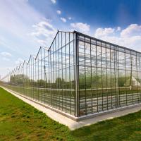 China Automated Plant Hydroponics Glass Wall Greenhouse For Tomato Strawberry on sale