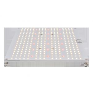 China 450nm 288pcs Chips Full Spectrum LED Grow Lights supplier