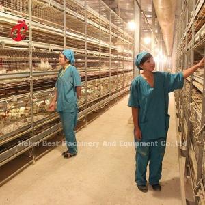 Modern Design Battery Layer Cage H Type Poultry Farm Cage ISO14001 Emily