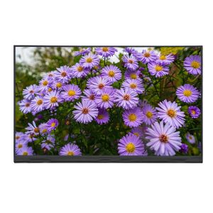 China 2K Resolution 11.6 Inch IPS HD TFT LCD Display 1920x1080 With EDP Interface wholesale