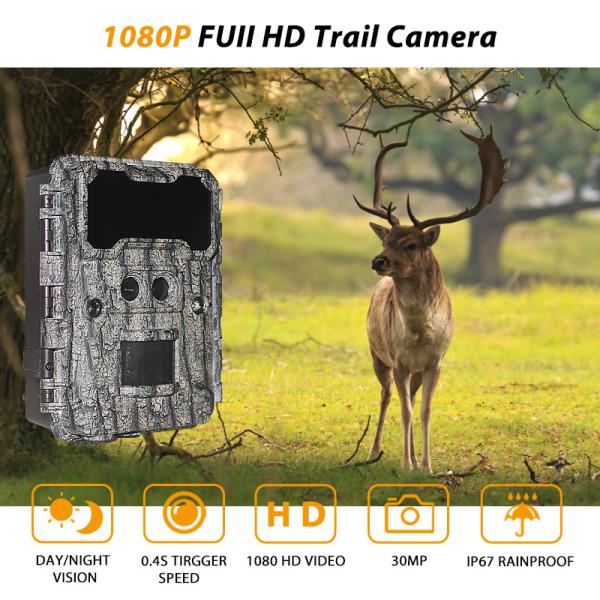 30MP HD 狩猟カメラ 無光 LED 夜視と PIR 機能