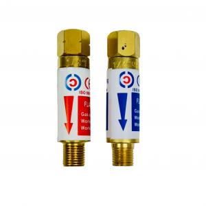 OBM.ODM.OEM Supported Flashback Arrestor for Acetylene Regulator and Cutting Torch