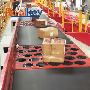 China High Accuracy Automated Sorting Conveyor System Parcelforce Warehouse Sorter Quick Installation wholesale