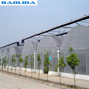 Long Life Span Heavy Duty Plastic Greenhouse High Large Size Available