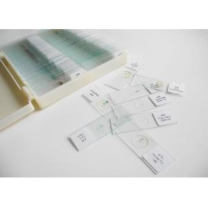 100pcs Plant Microscope Slides , Glass Material Plant Cell Microscope Slides