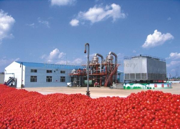 UHT Sterilizing Tomato Paste Production Line For Apple Jam / Shea Butter / Red