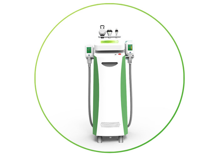 China professional factory price vertical five handles cryolipolysis machine model NBW-C325