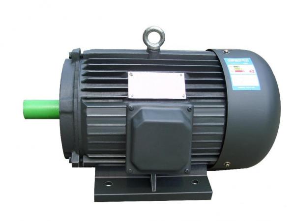 Big Capacity Electric Three Phase Induction Motor 380v 50hz For Agriculture