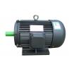 Big Capacity Electric Three Phase Induction Motor 380v 50hz For Agriculture