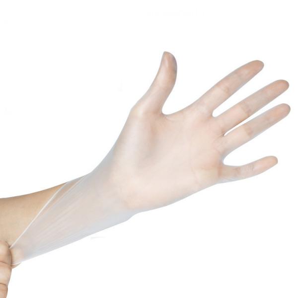 Antibacterial Disposable Protective Gloves Safety Pvc Gloves Breathable